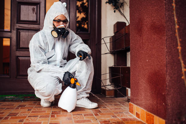 Reliable Ant Control contractor in Schriever, LA by Nex Pest Control